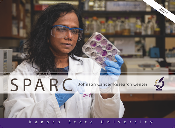 picture of the cover of the SPARC magazine