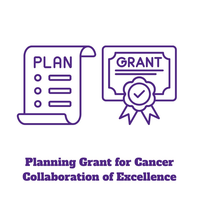 image of proposed planning grants