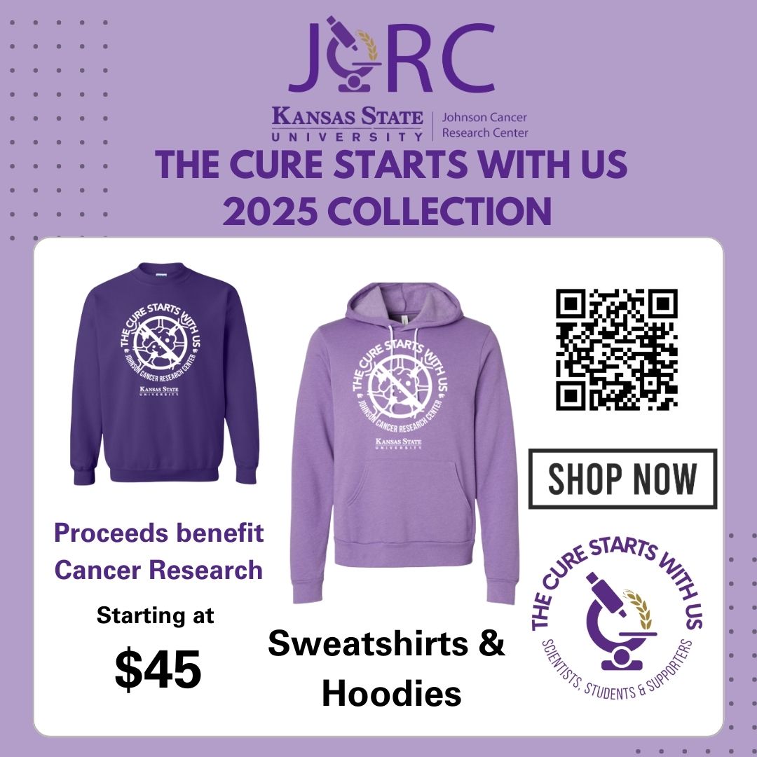 sweatshirts hoodies 2025