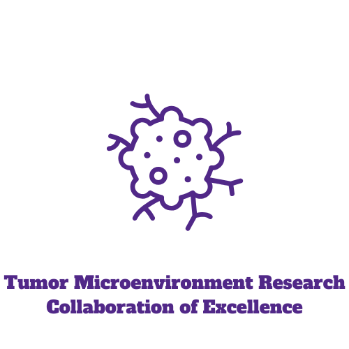 tumor outline with the words "tumor microenvironment research collaboration of excellence"