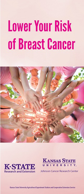 cover of Lower Your Risk of Breast Cancer brochure