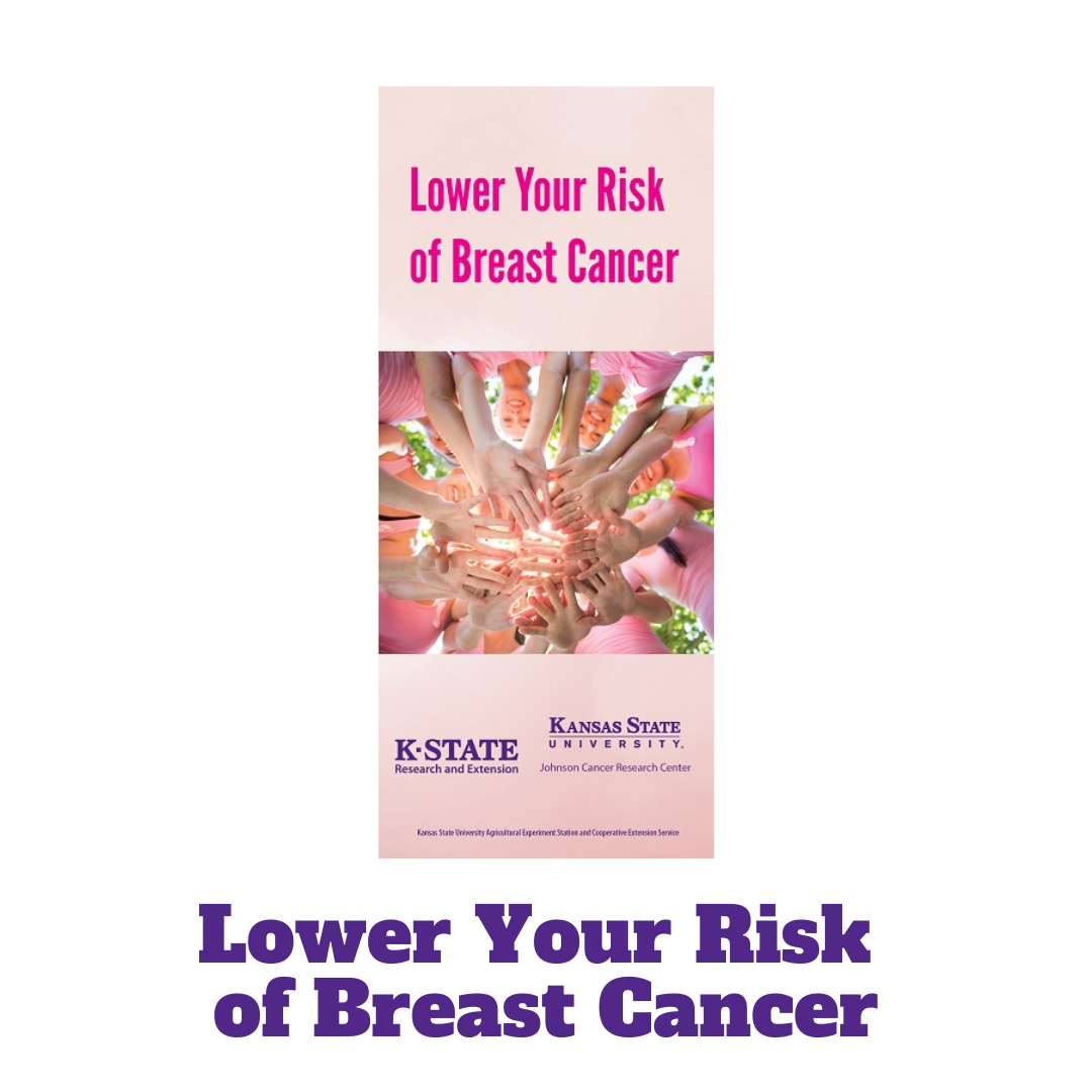 image of a pink brochure that says "lower your risk of breast cancer"