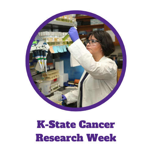 a researchers in a lab looking at a test tube with the words "K-State Cancer Research Week"