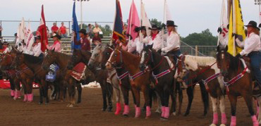 drill team, horses wearing pink socks