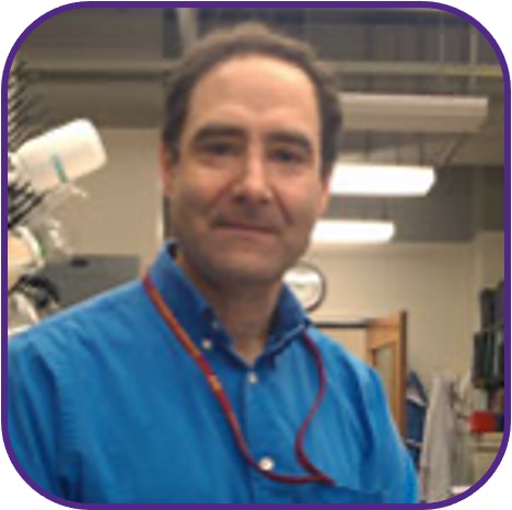 Prof. Mark Weiss Prof. Mark Weiss