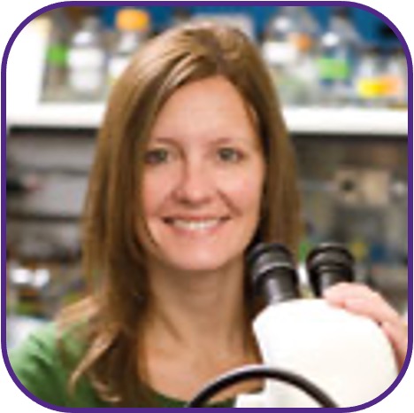 Prof. Erika Geisbrecht Prof. Erika Geisbrecht