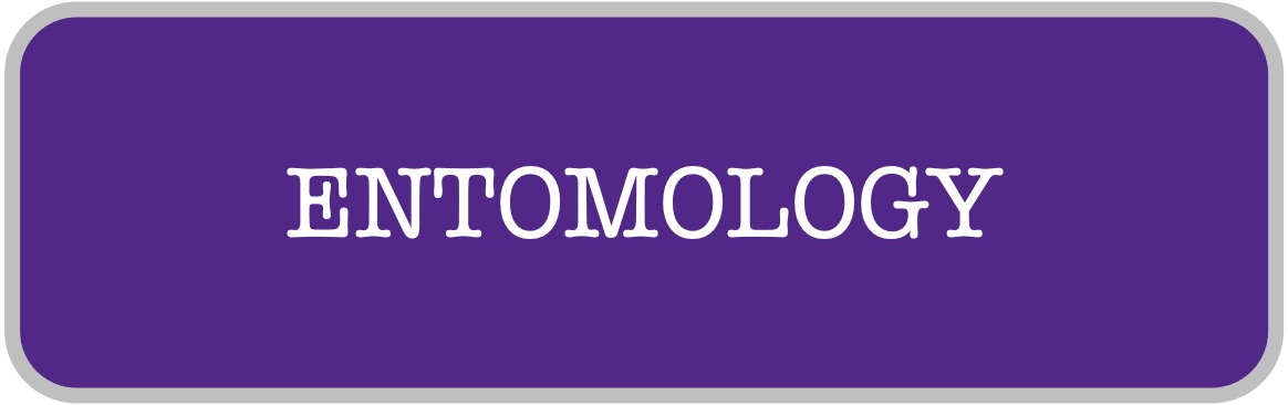 Entomology Entomology