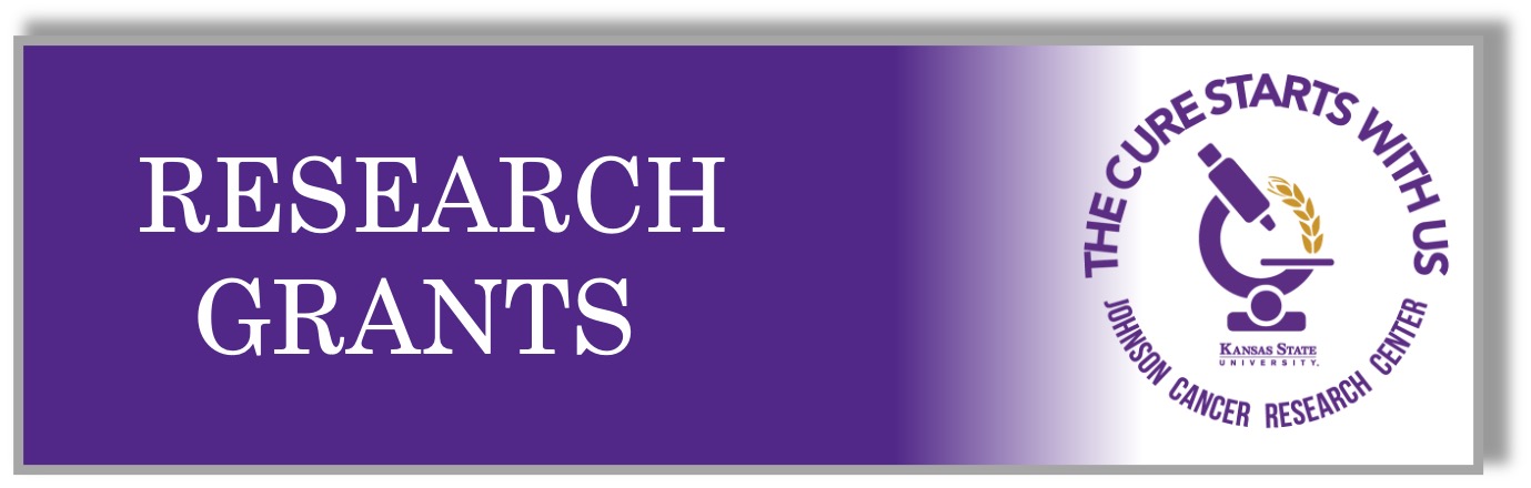 Research Grants ACTIVE